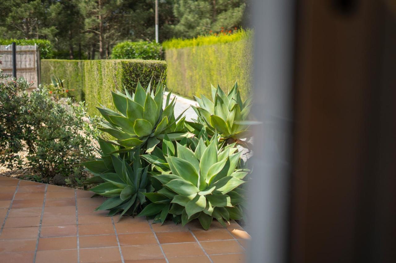 Casa Garrod - Spacious Family Villa Aljezur Exterior foto